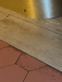 The first roach we saw at the Steakhouse restaurant while at dinner.