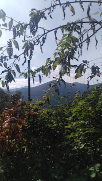 Blick von der Terrasse ins Tal