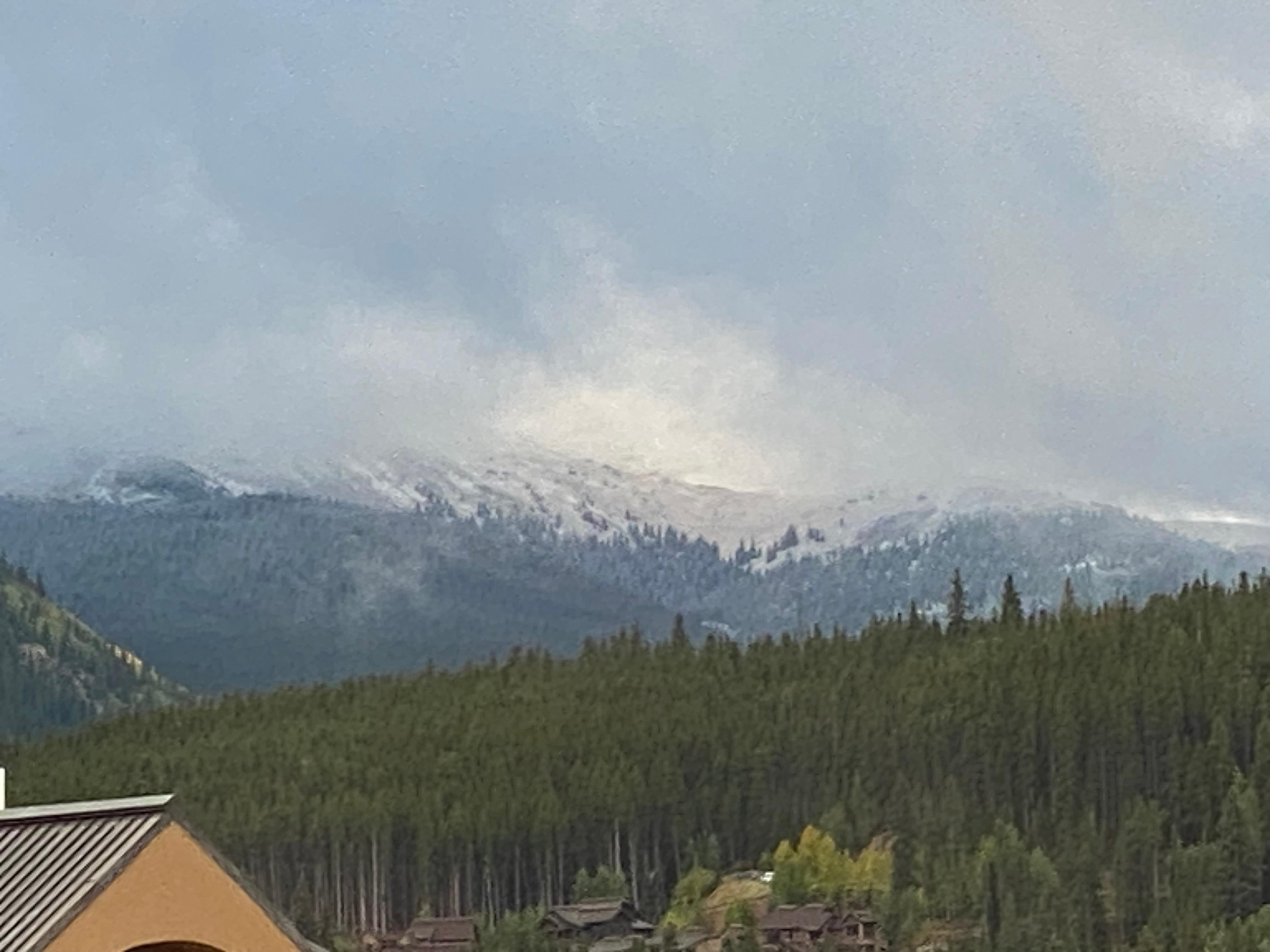 View from living room