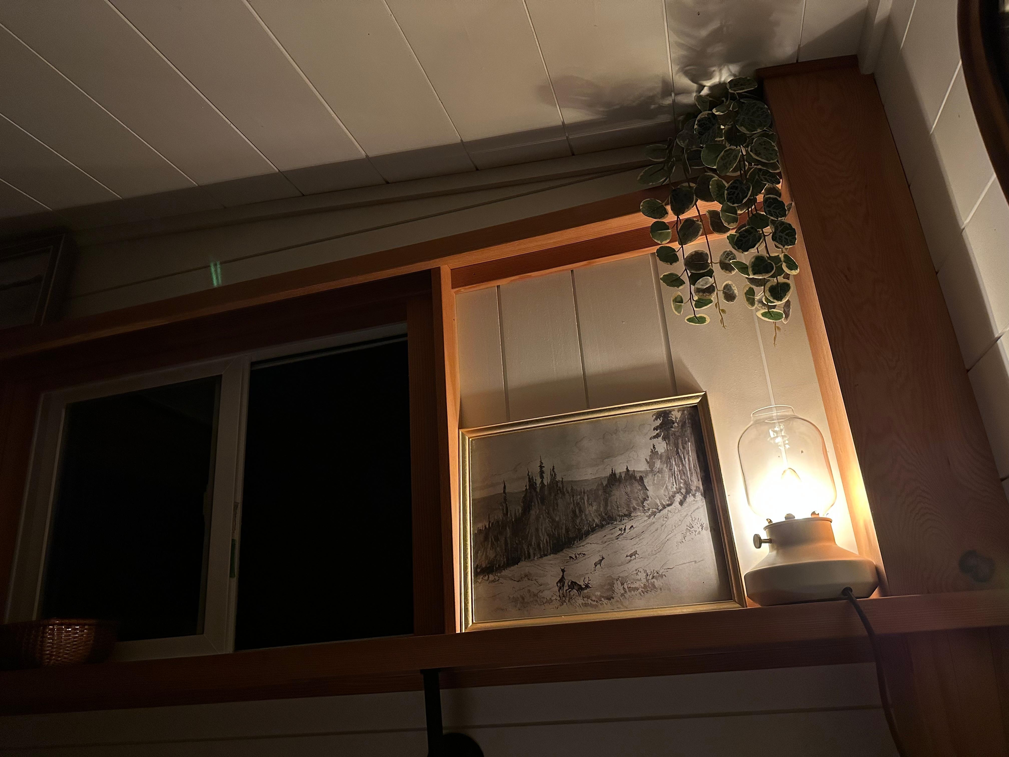View in bed while reading