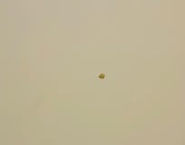 How can you give someone a room with chewing gum stuck on the wall