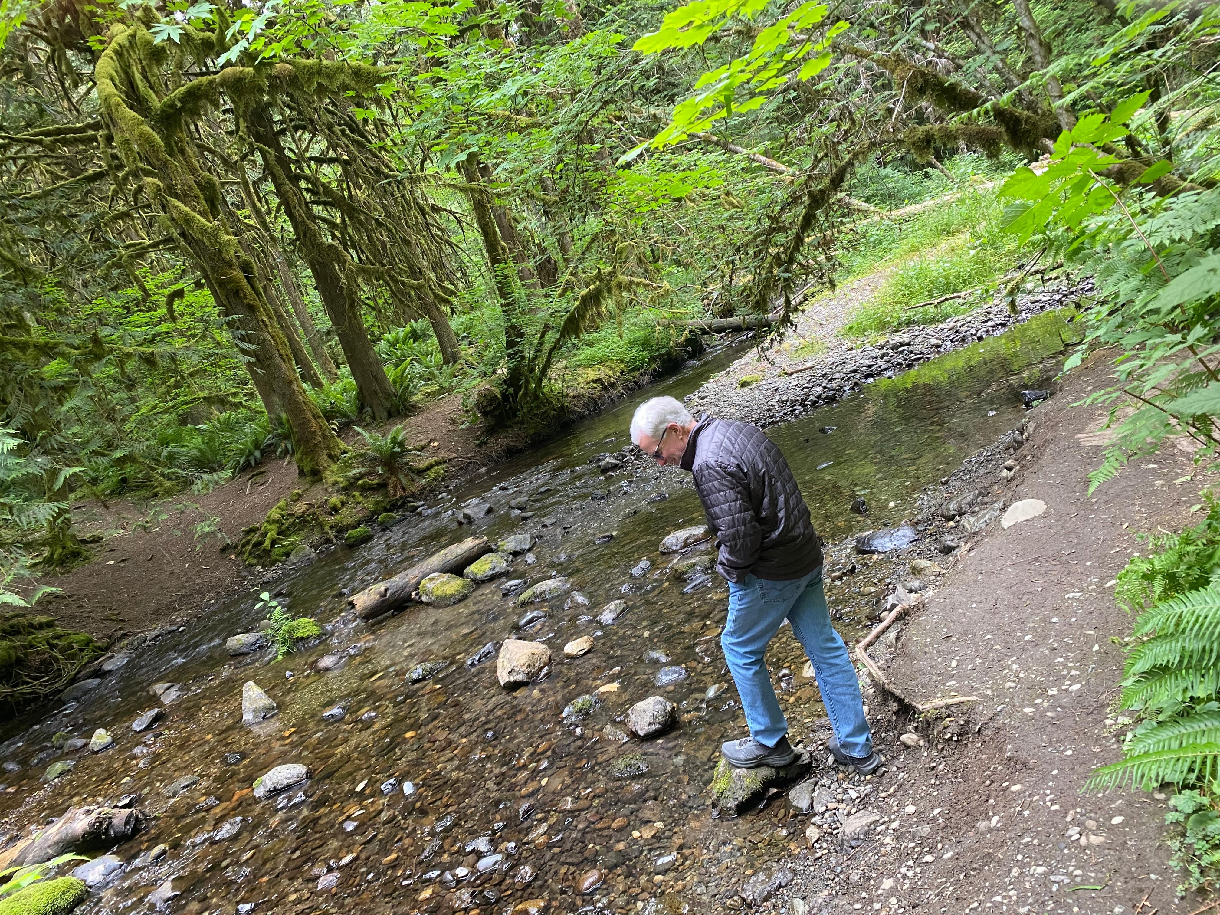 So green and beautiful. 