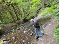 So green and beautiful.