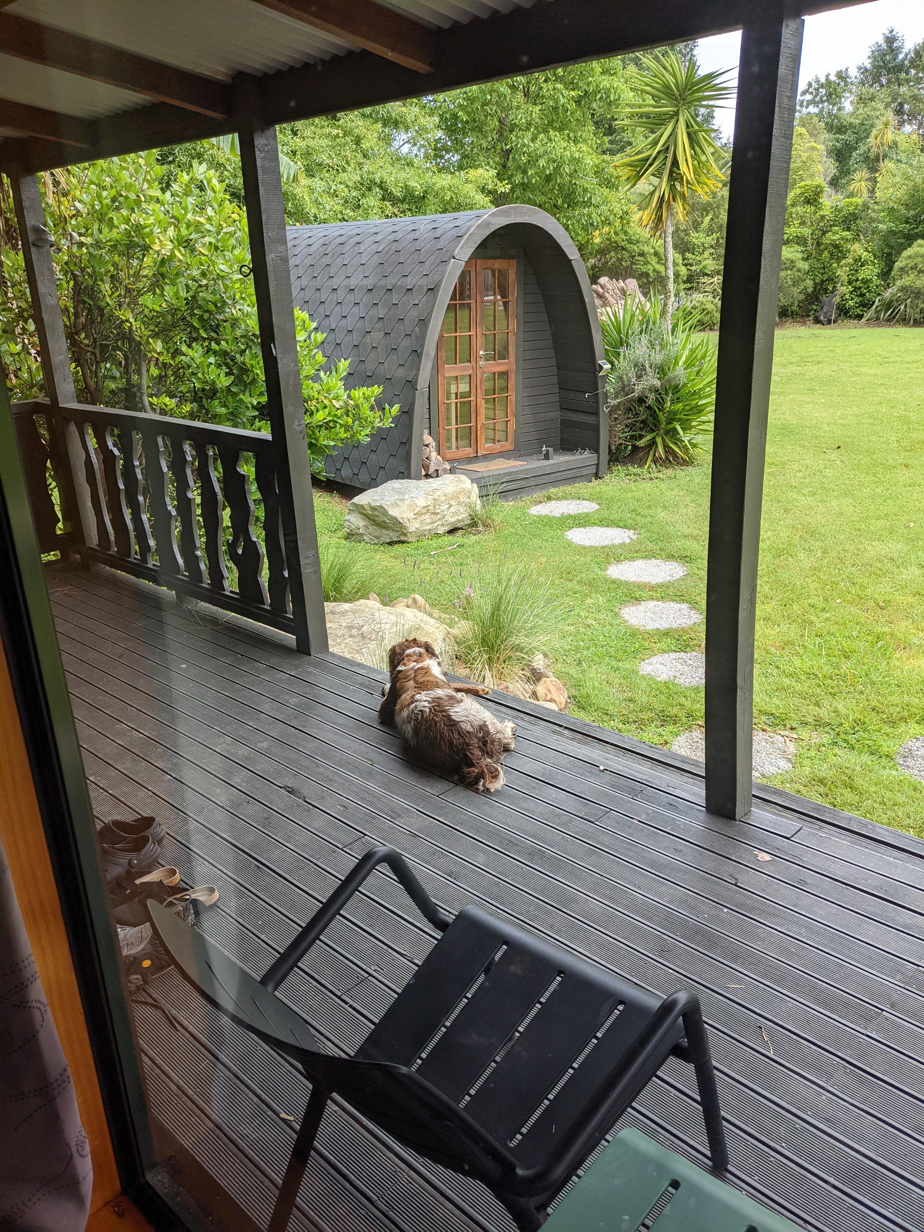 Maverick making us feel at home!