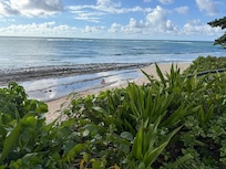 Beach view