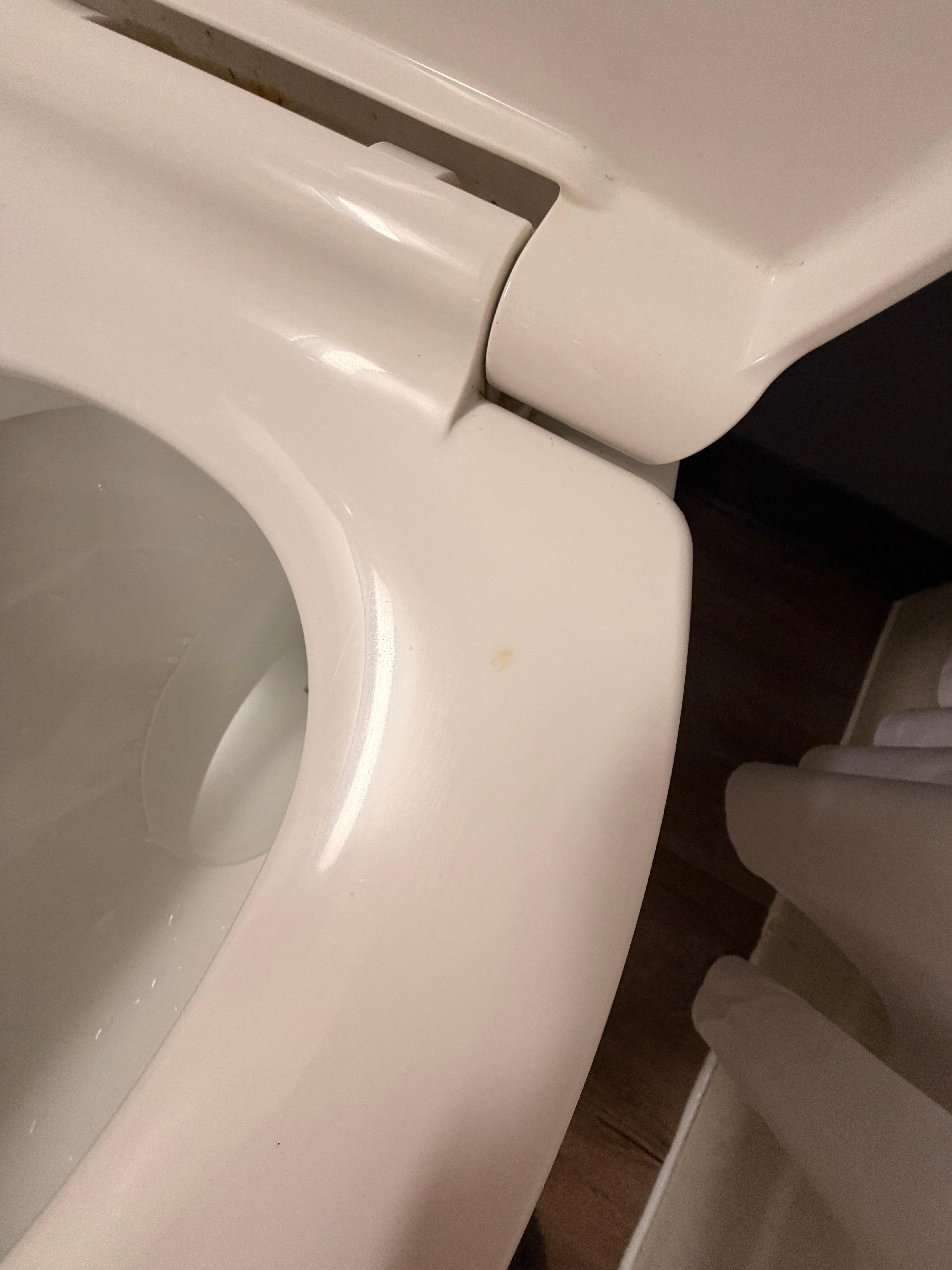 Pee on the toilet seat when we arrived