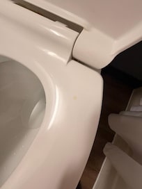 Pee on the toilet seat when we arrived