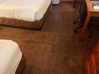 Stained carpets