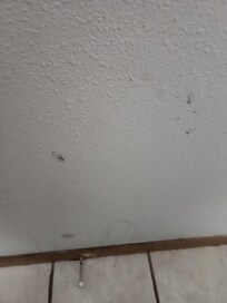 Dirty residue not cleaned from bathroom wall and mold by tub