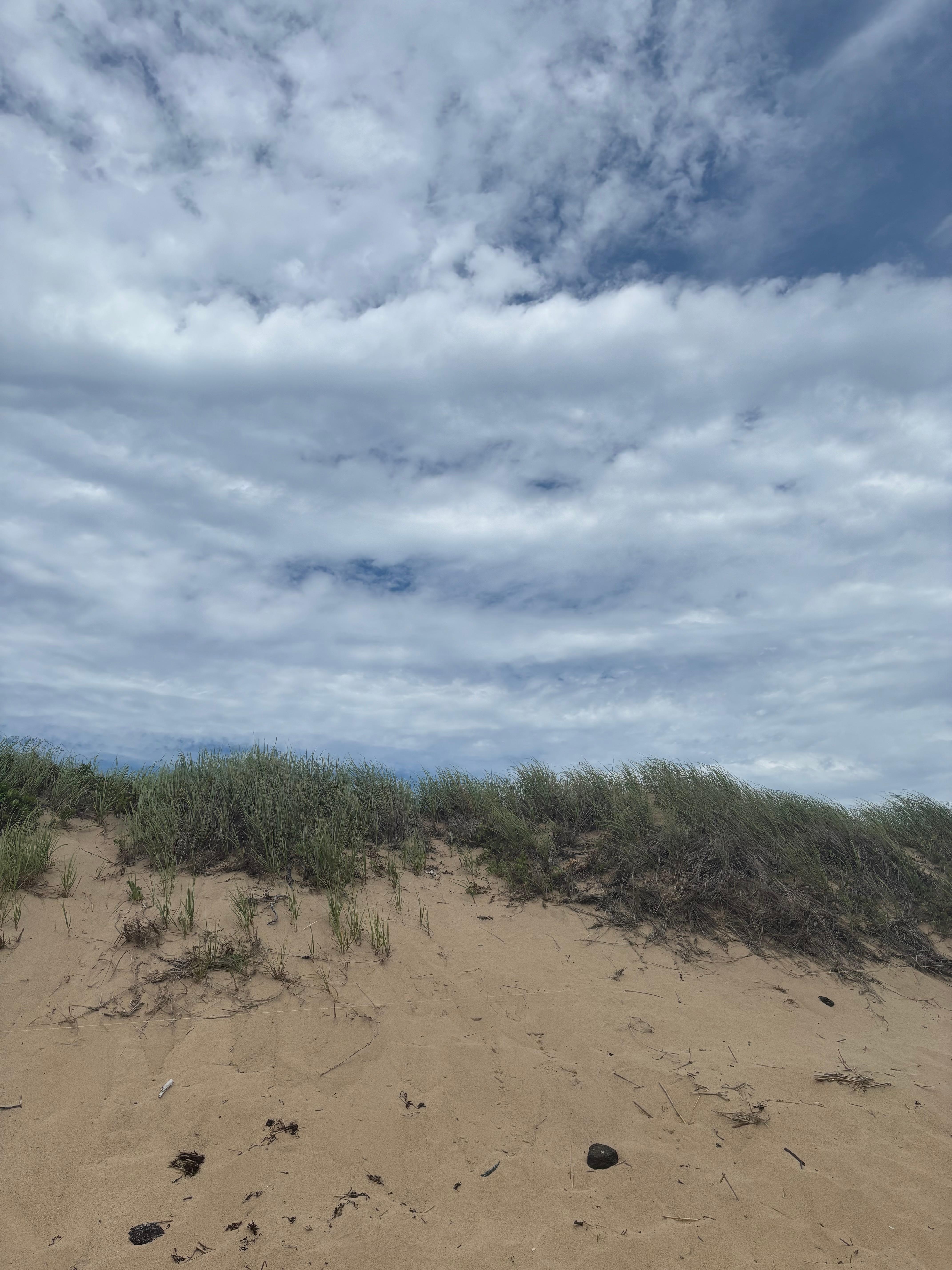 Dunes at herring cove