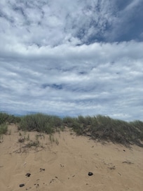 Dunes at herring cove
