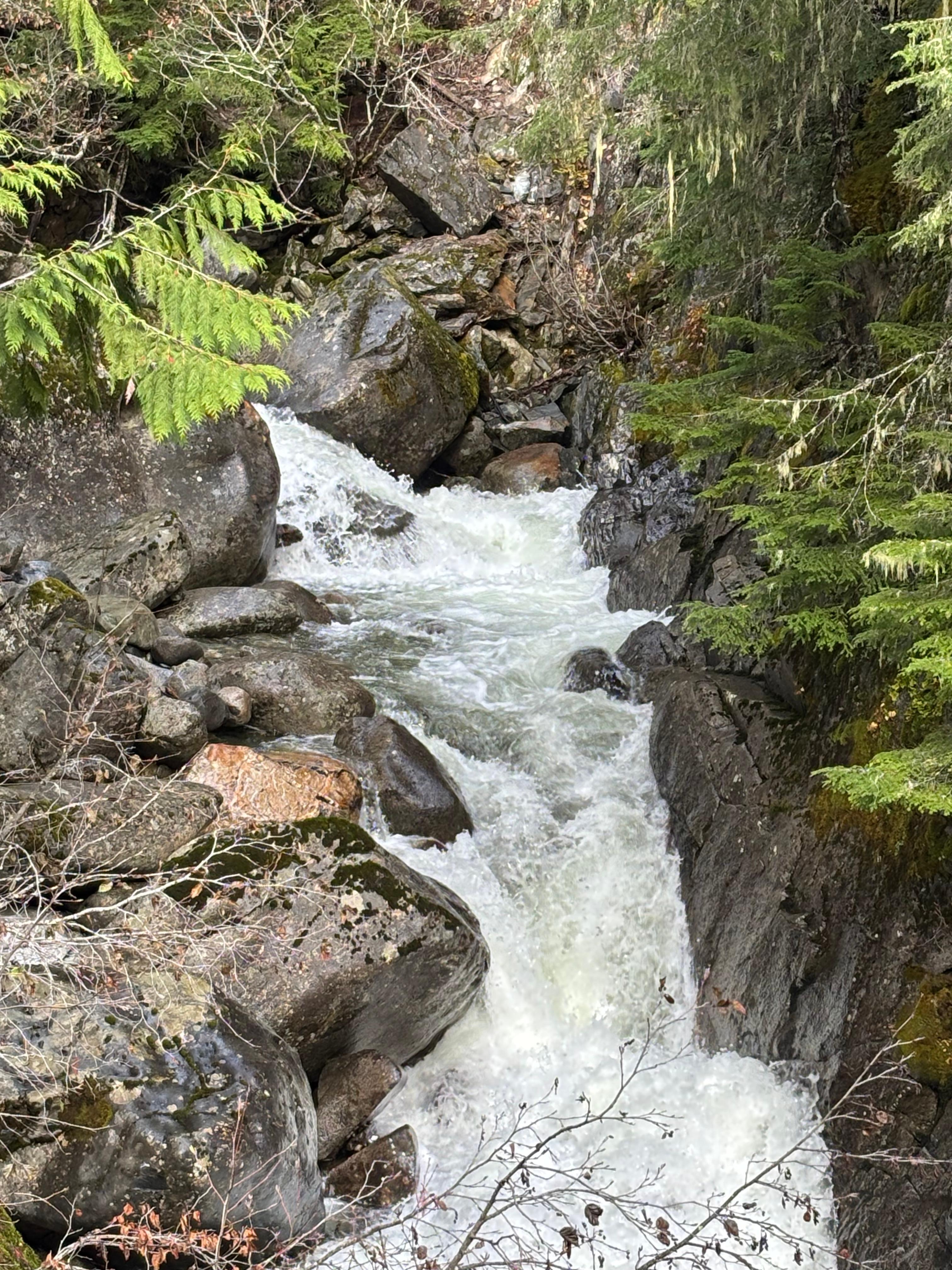 A glimpse of the Rainbow Falls trailhead hike.  We chose the 2.6 km trail