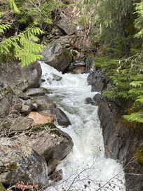 A glimpse of the Rainbow Falls trailhead hike. We chose the 2.6 km trail