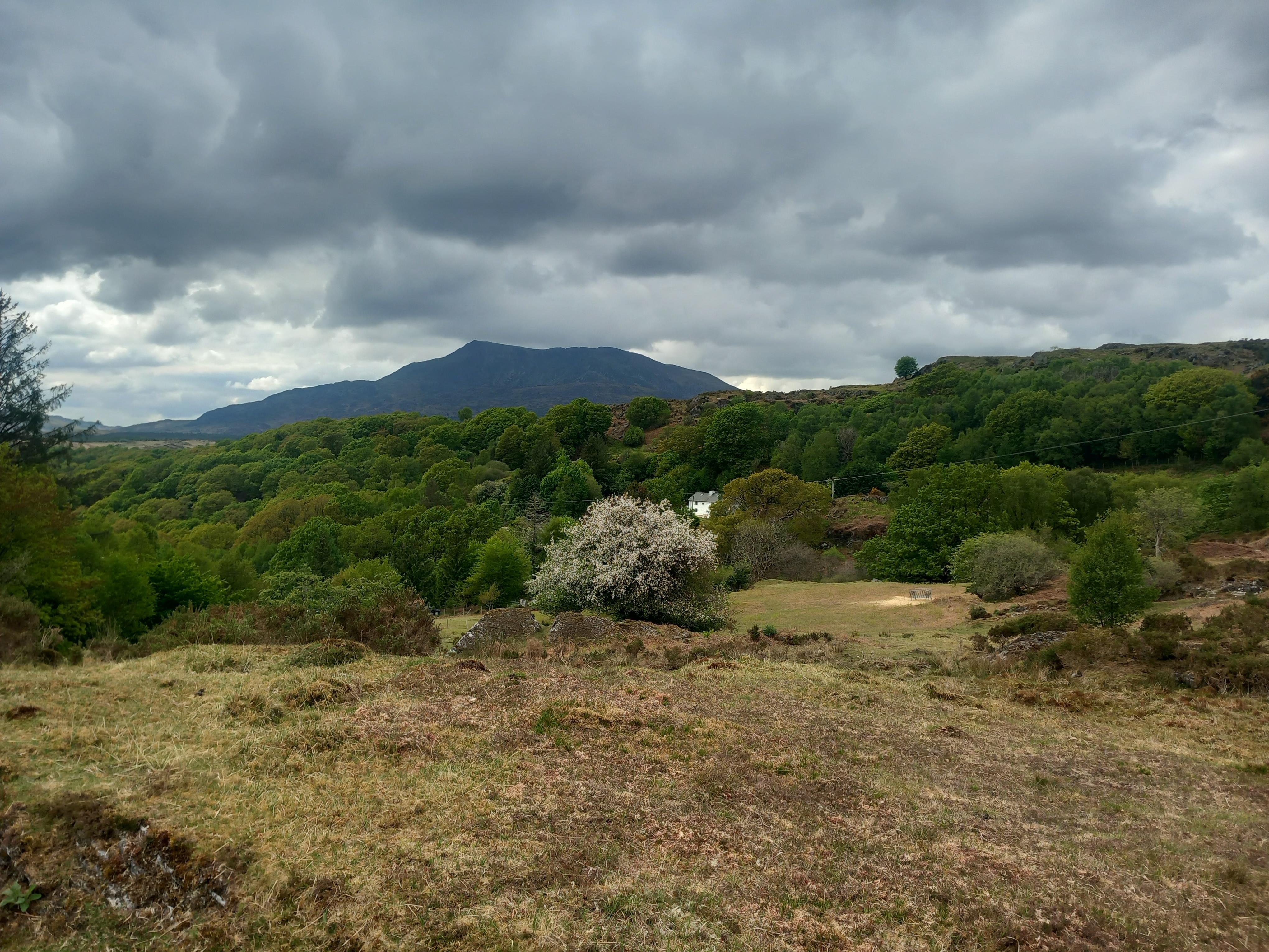 Can't wait to return.