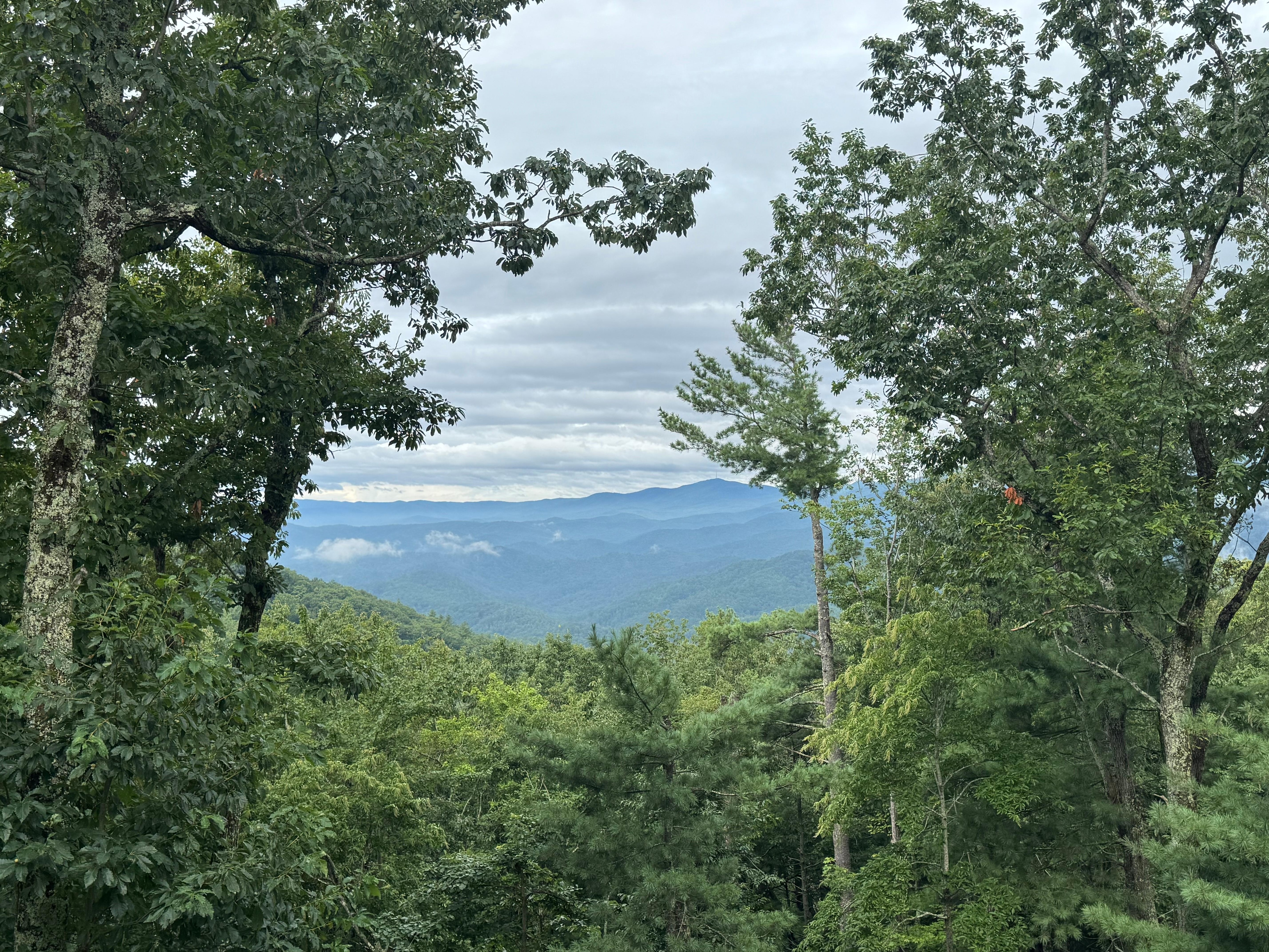 The view from the deck. 