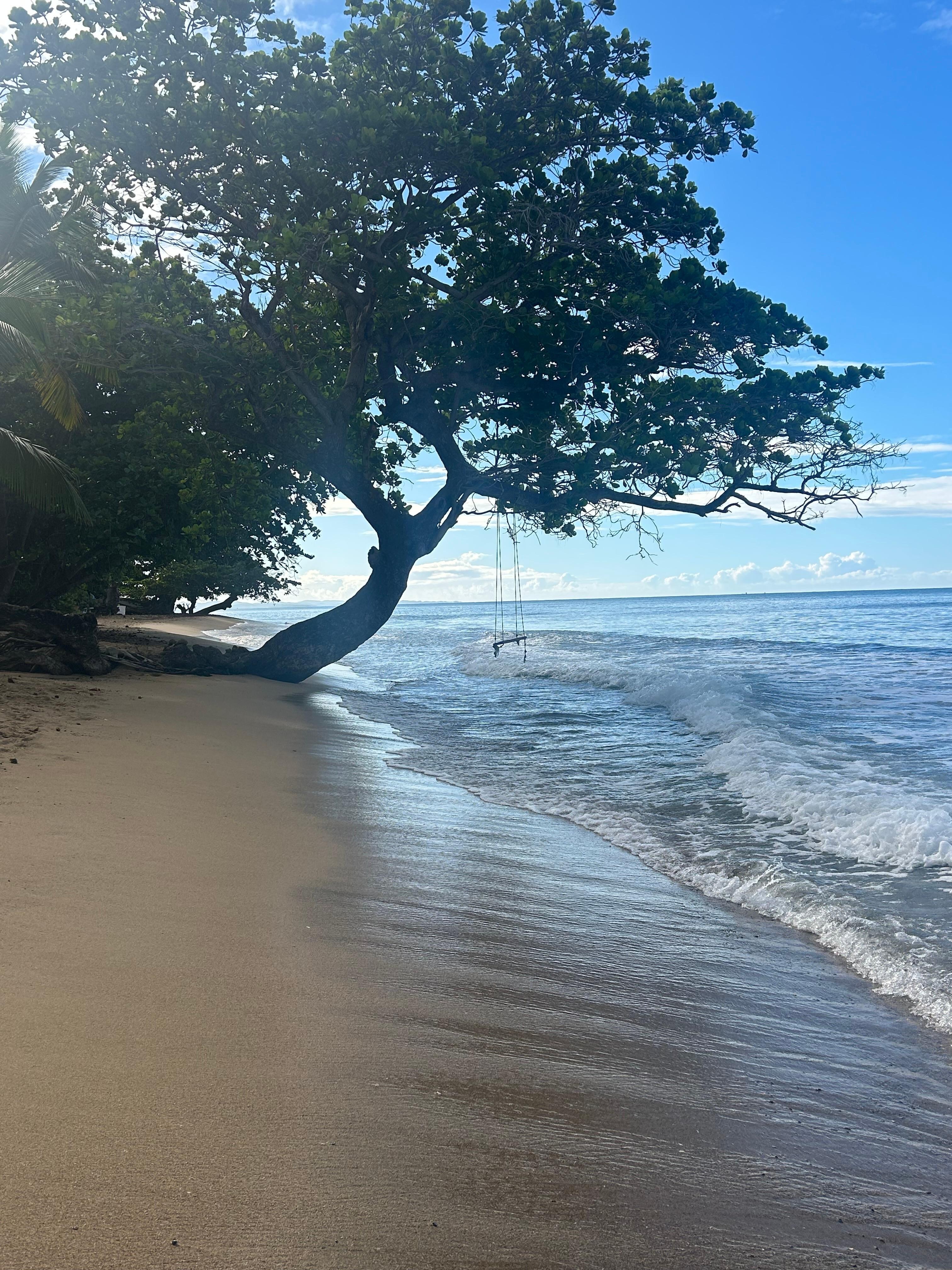 This is the beach you walk to from the house.