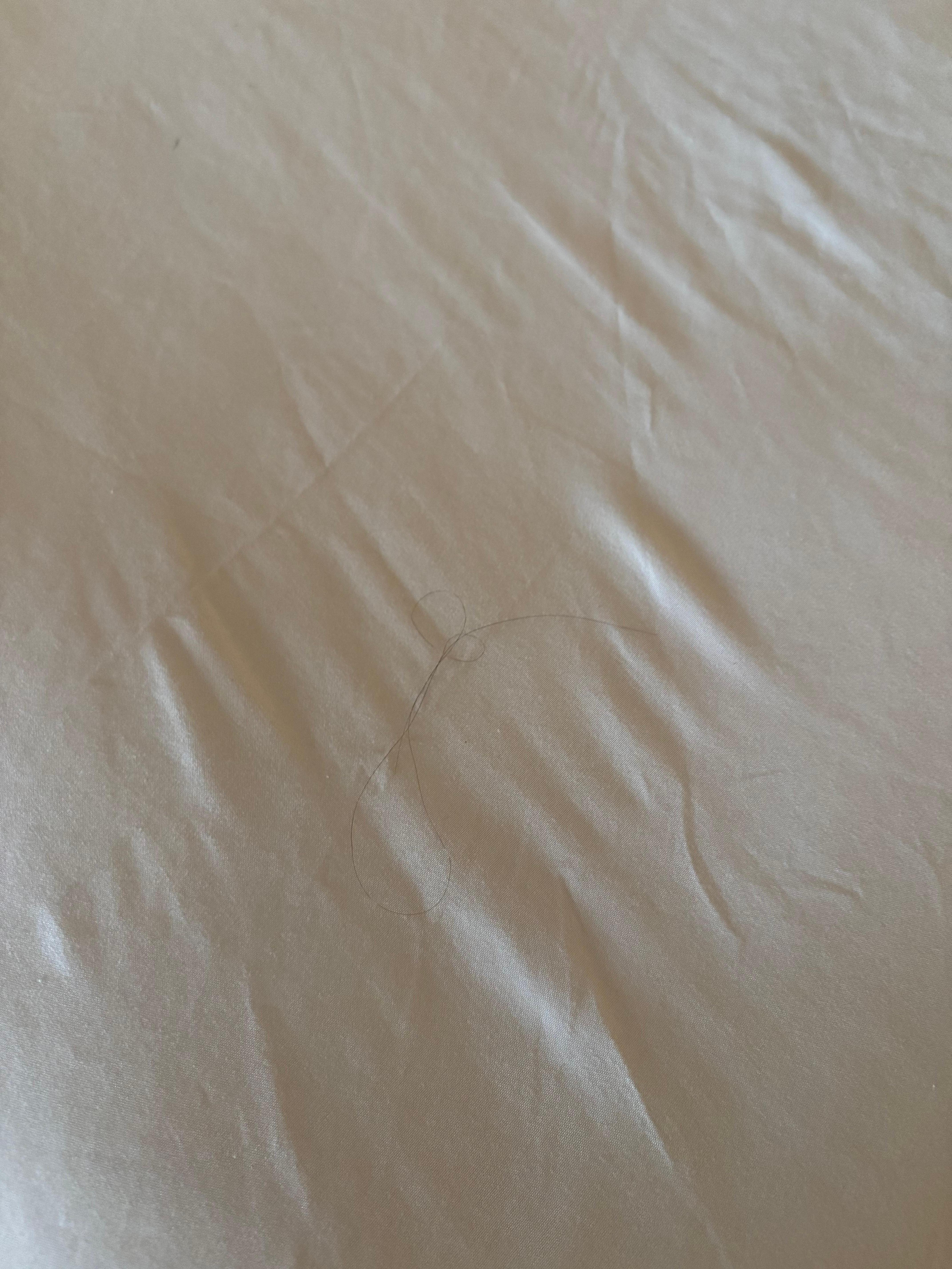 Hair found on the bed 