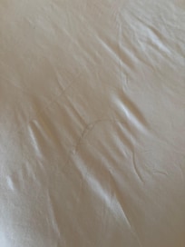 Hair found on the bed