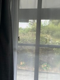 Dirty net curtain lounge