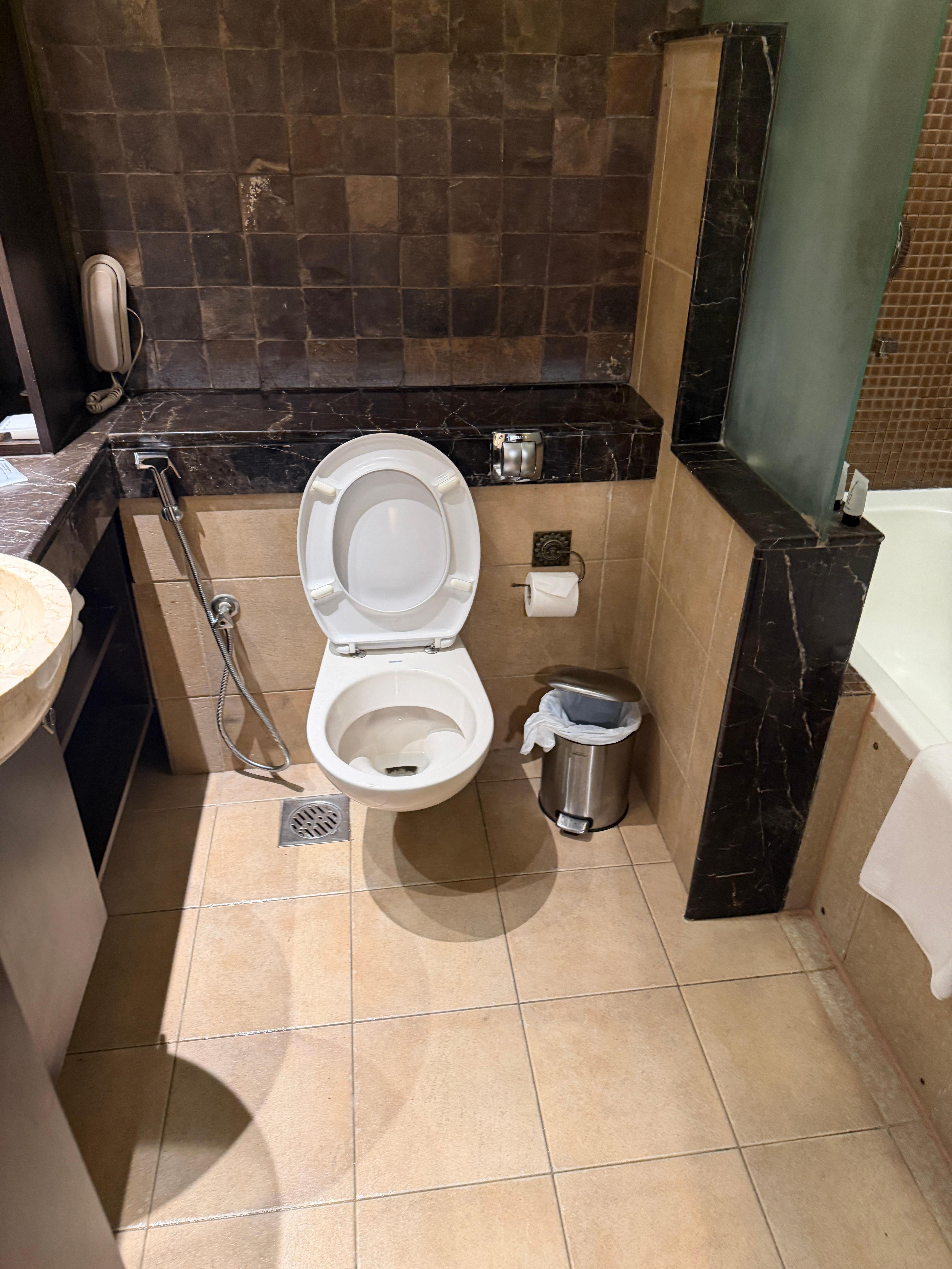 He cleaned the restroom with precision. 