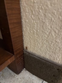 One of 3 cockroaches that I encountered in my room