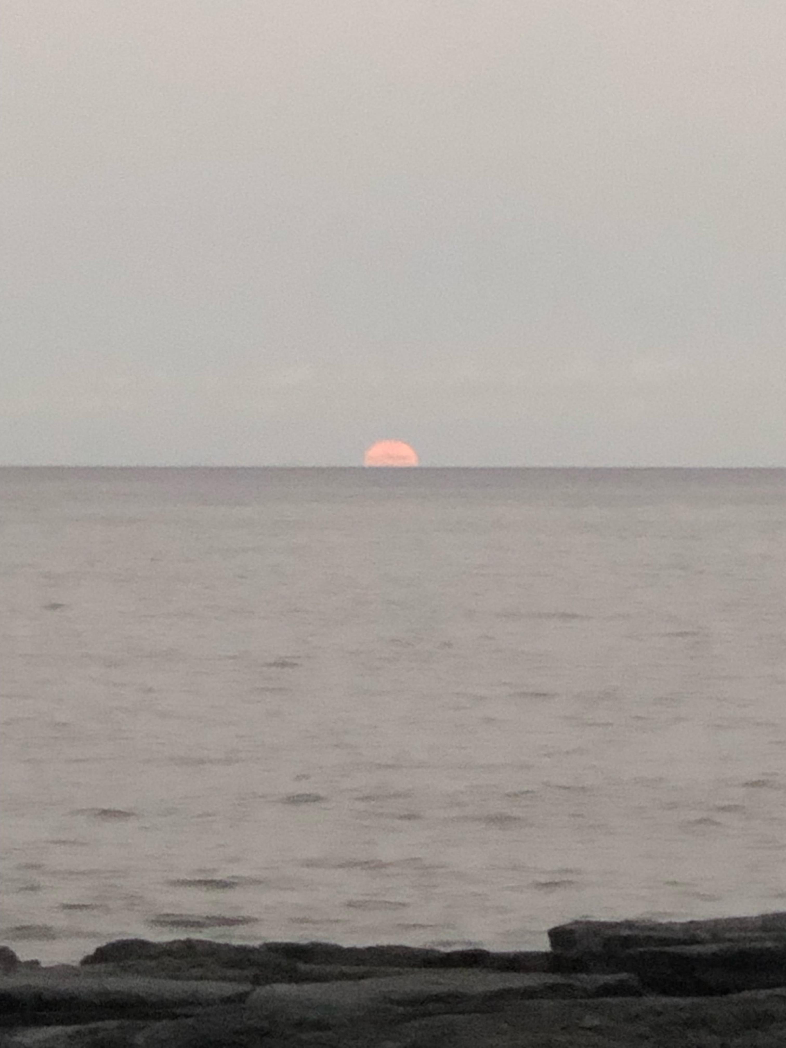 Moon rise from the lanai. 