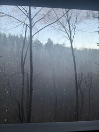Looking out from the porch during a very heavy rainstorm!!