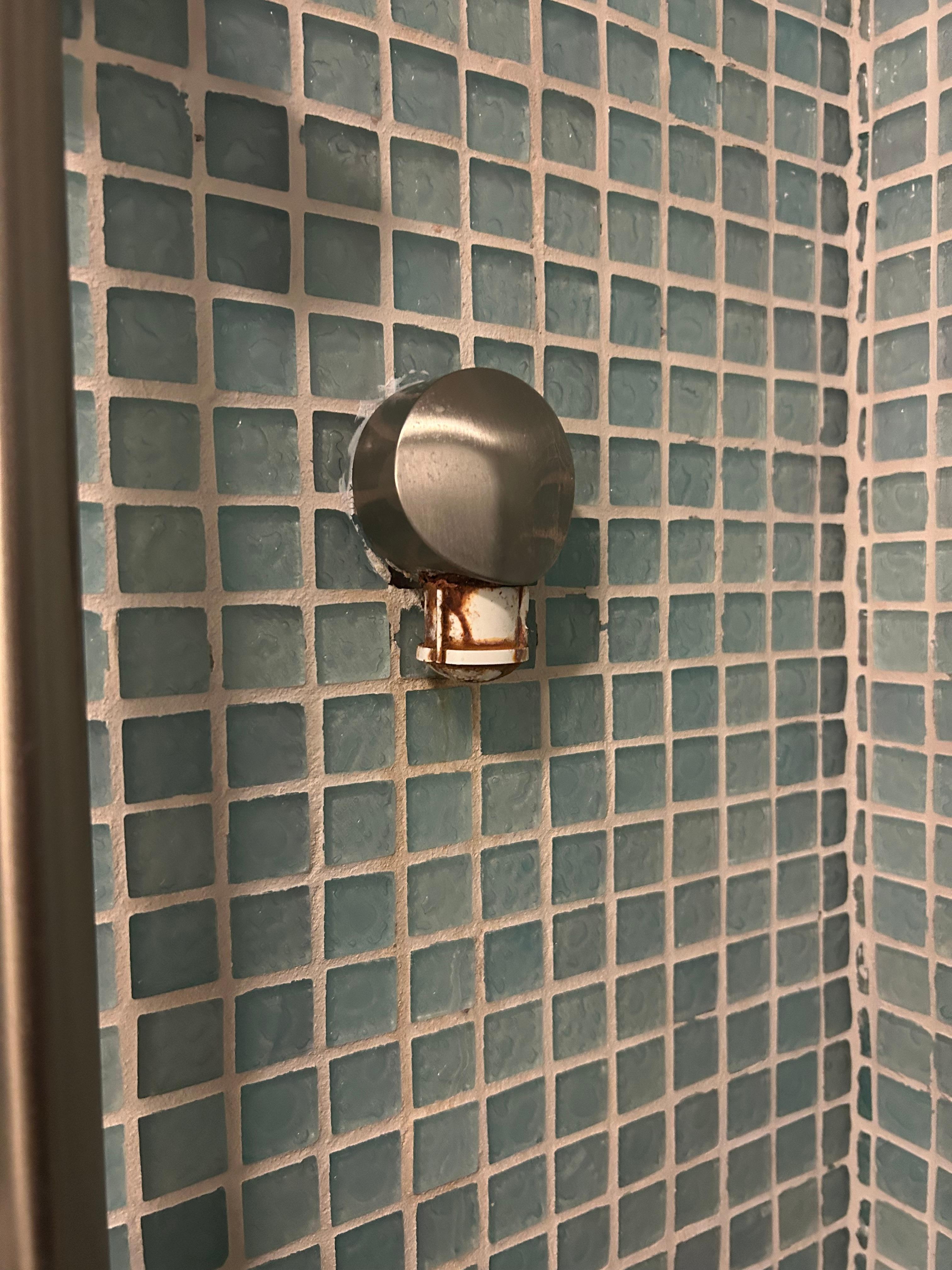 Guest hand held shower spray removed 