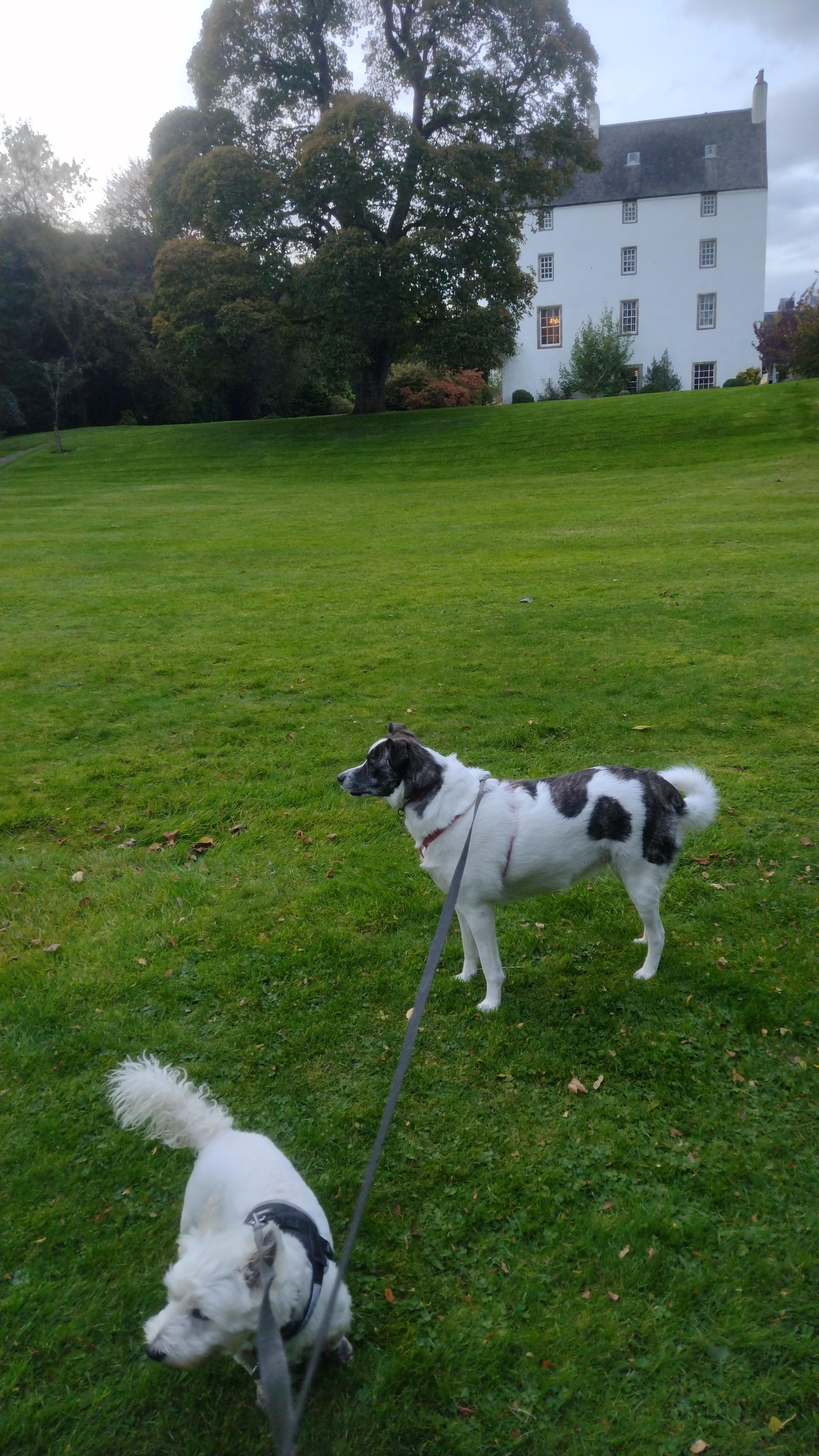 Inspecting the hotel grounds