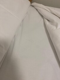 Hairs in the bed