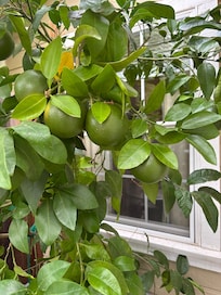 Right outside the front door!