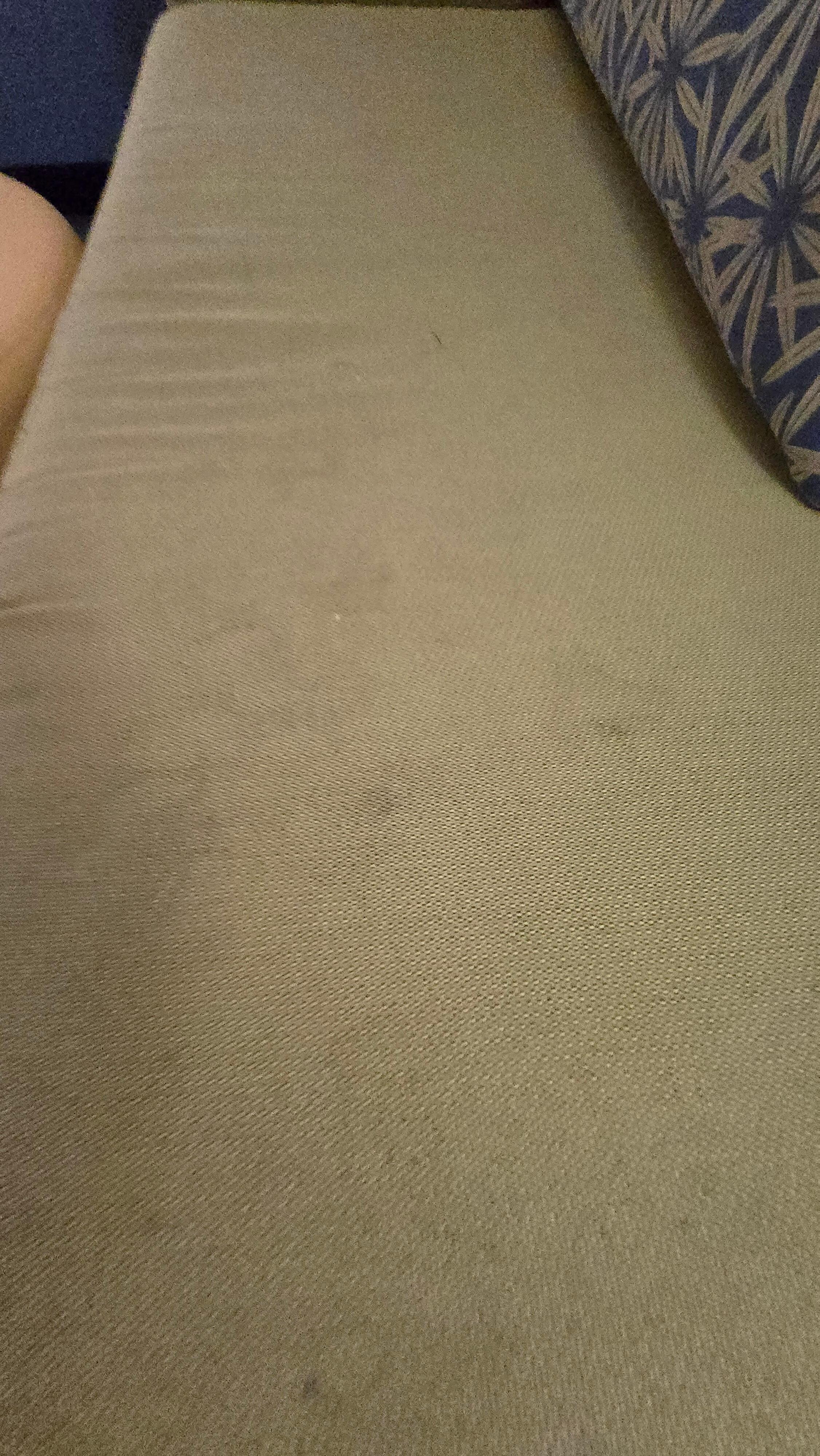 Dirty couch has various hairs all over it and stains
