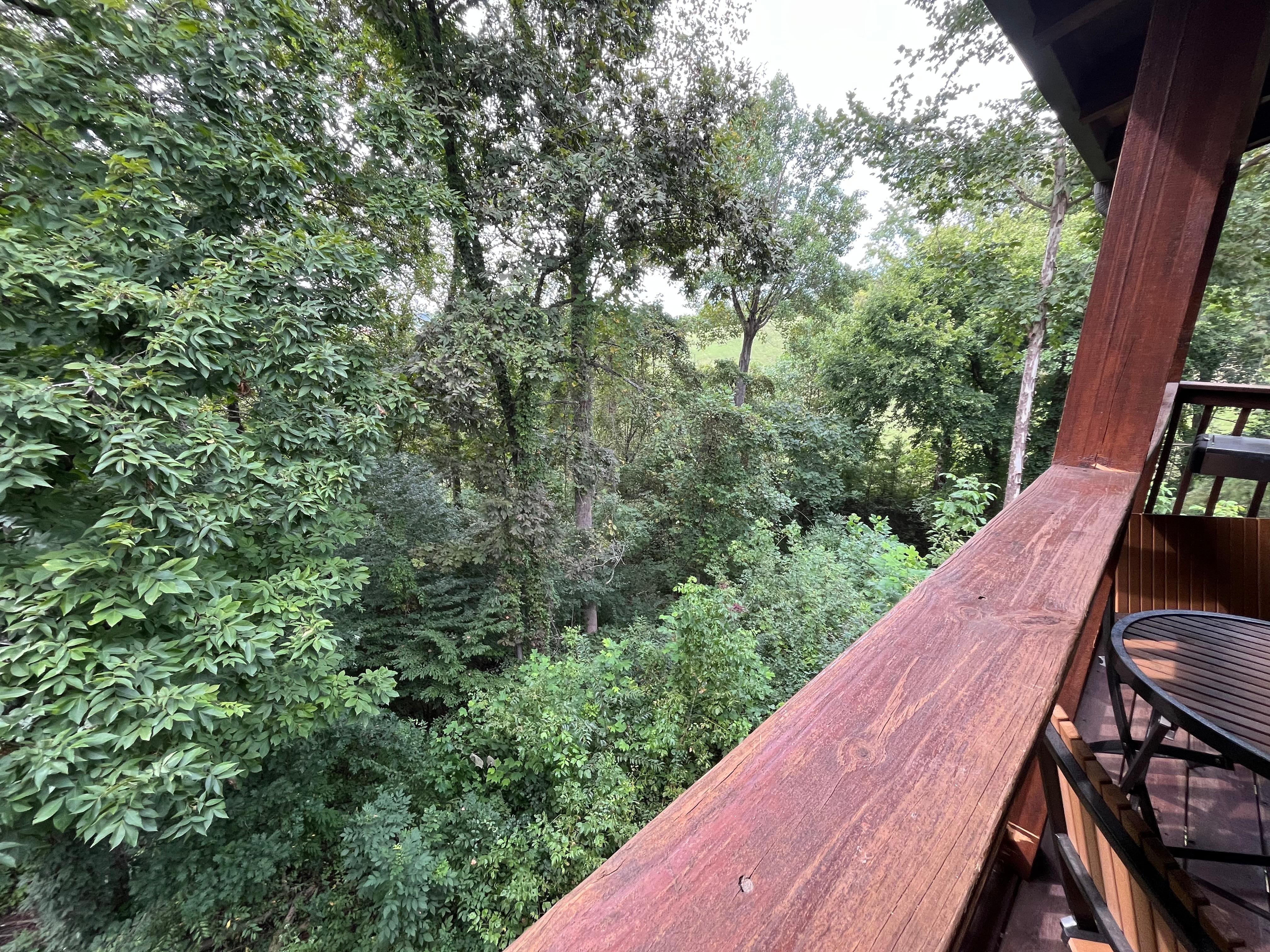 Top floor porch view