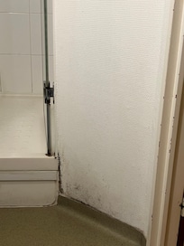 Salle de bain trace humidité