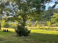 View from the back porch!