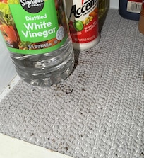 Mouse droppings in kitchen cabinet, next to food items.
