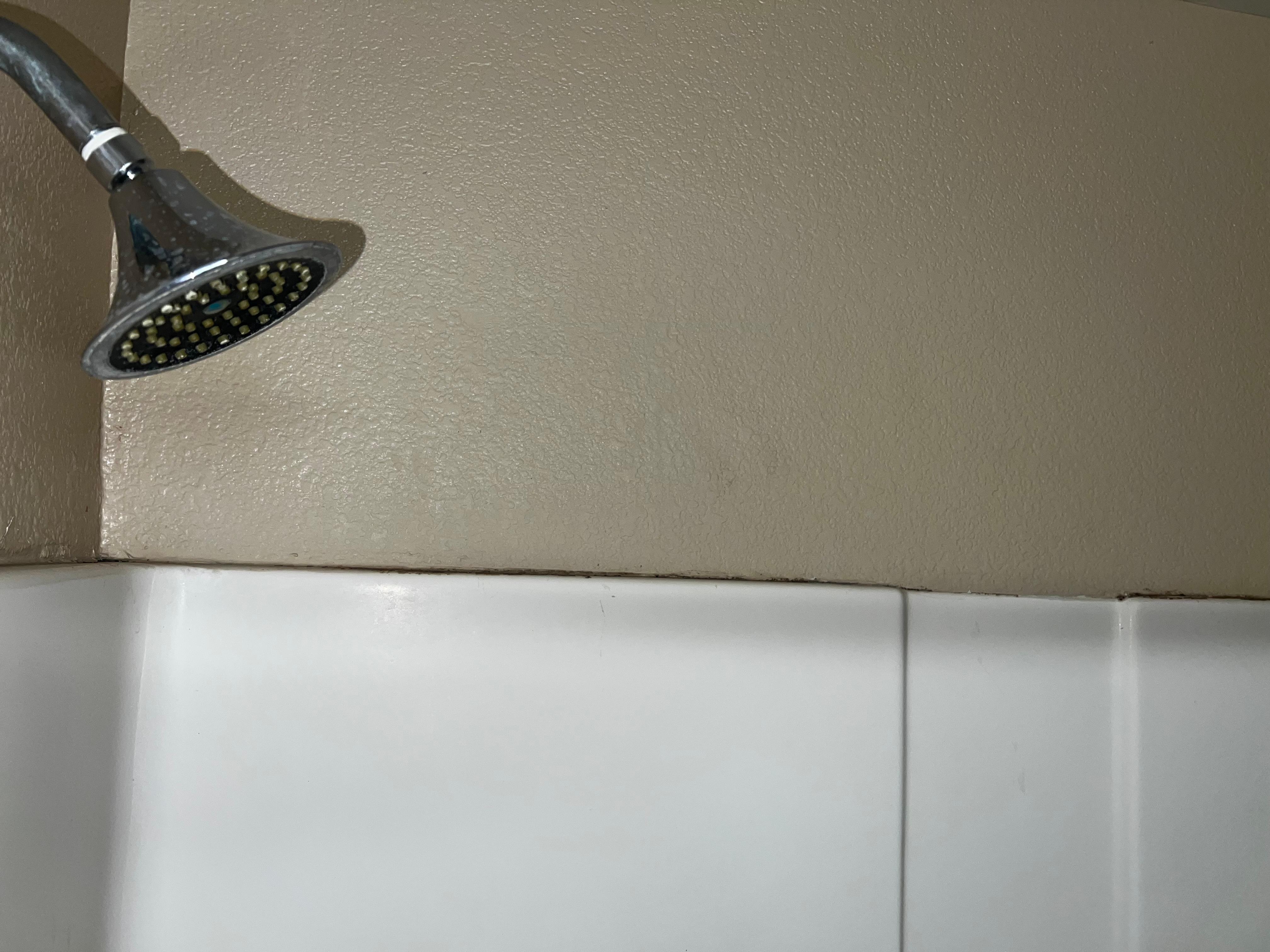 Mold in shower 