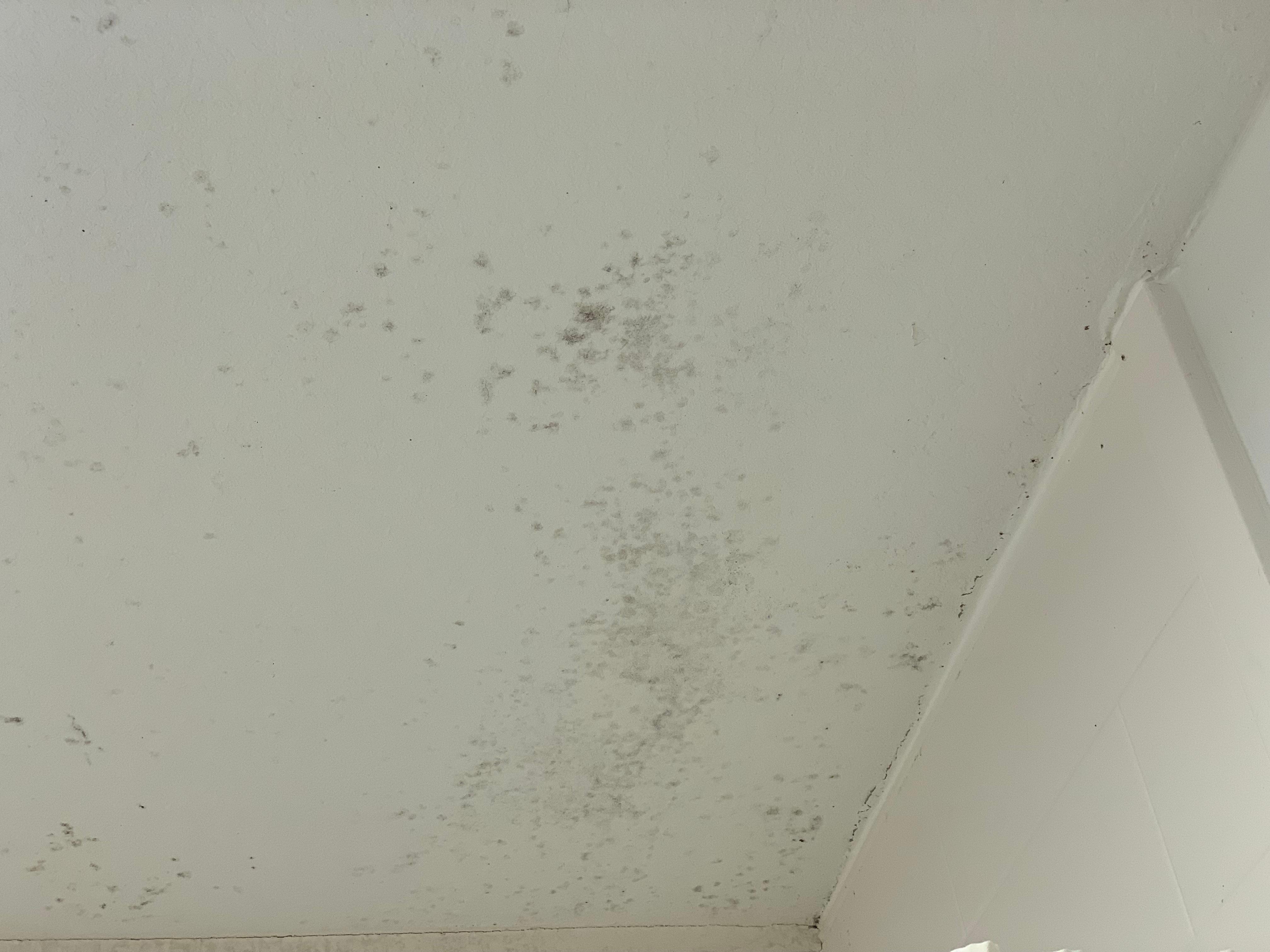 Bathroom ceiling 
