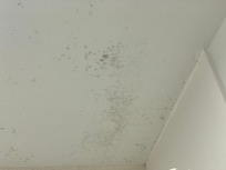 Bathroom ceiling