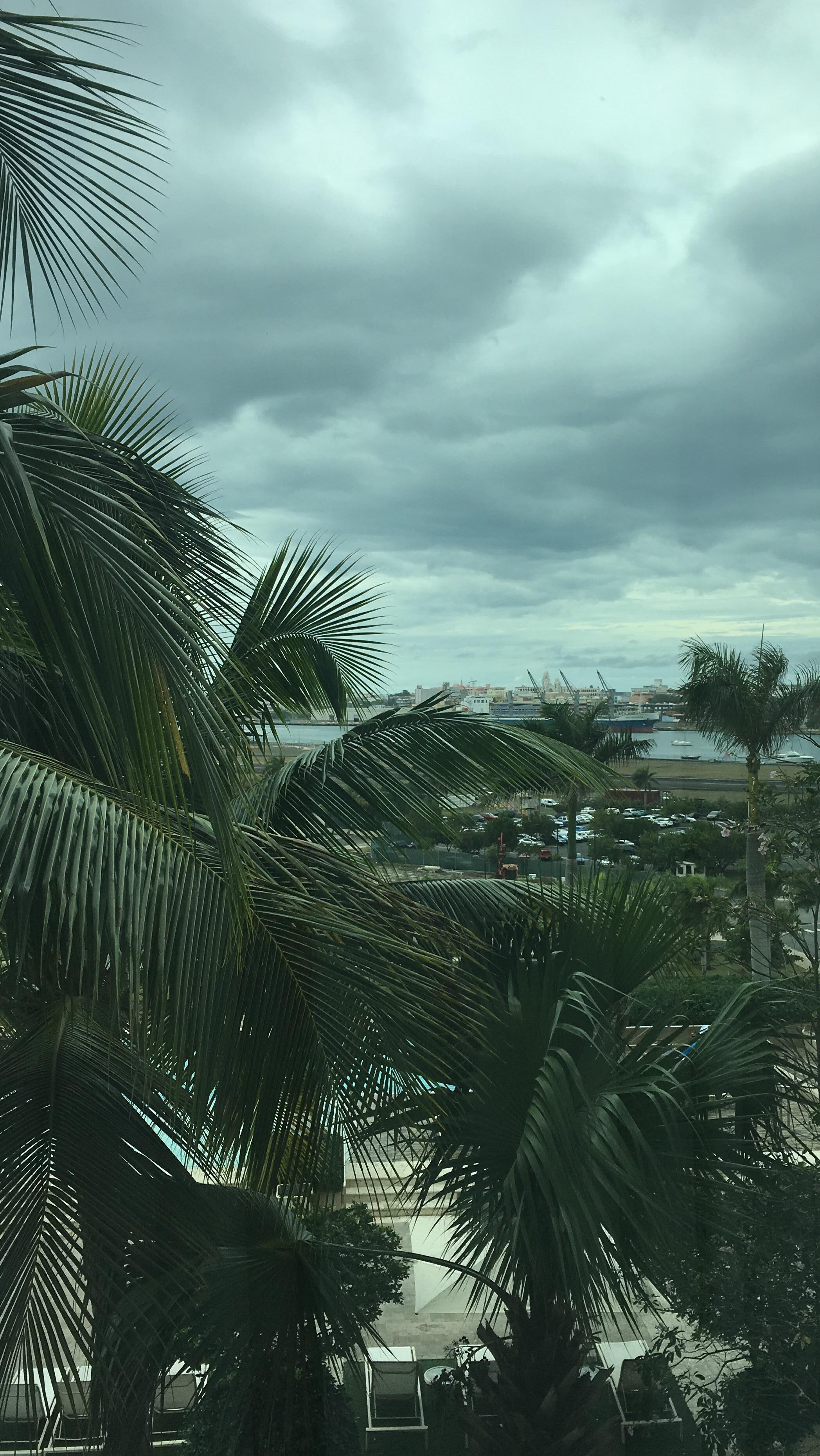 View from 709