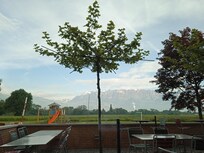 Vue au petit-déjeuner