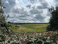 View from the bedroom