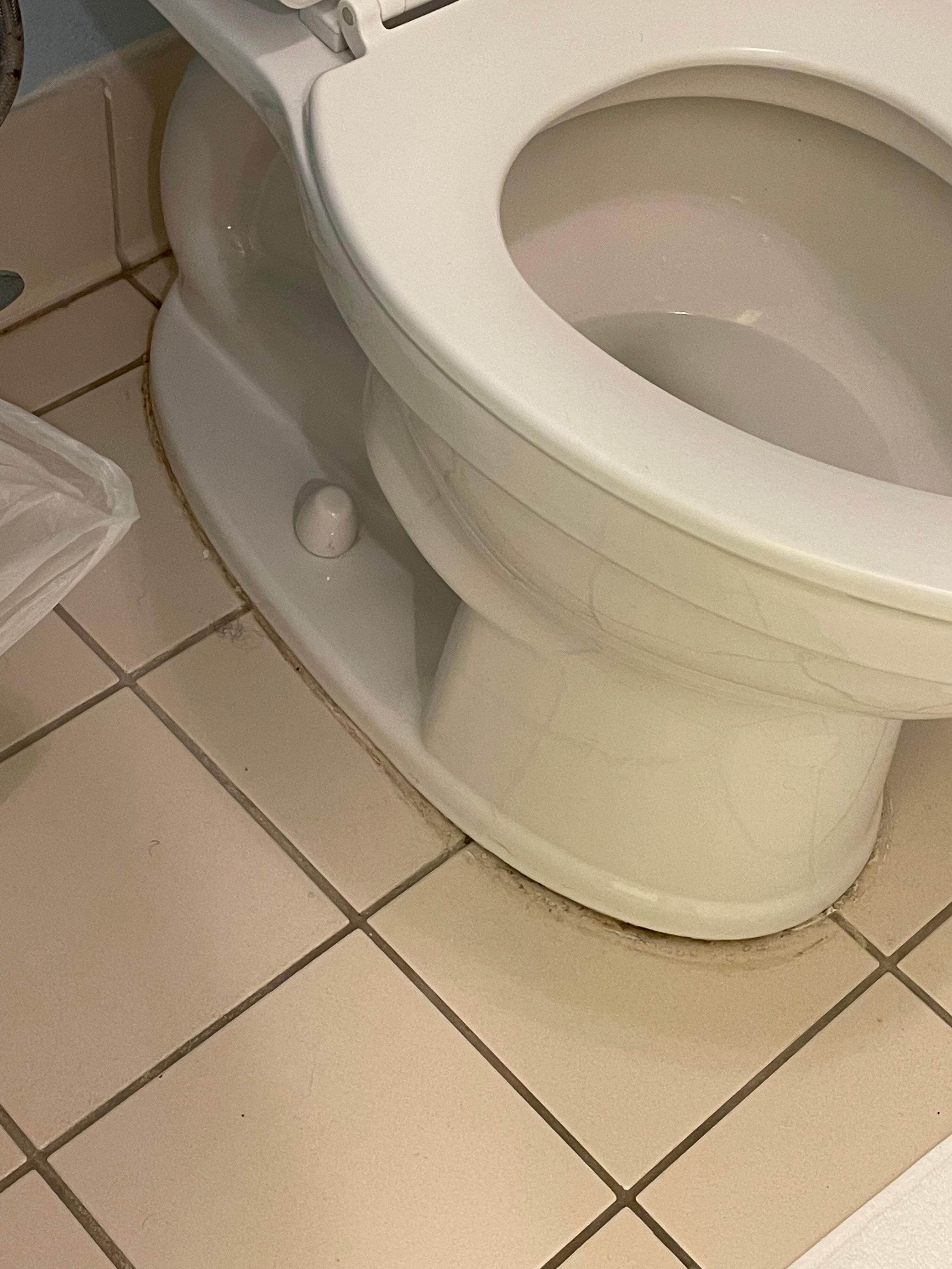 Toilet rocks
