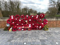 Poppies vid Last Post
