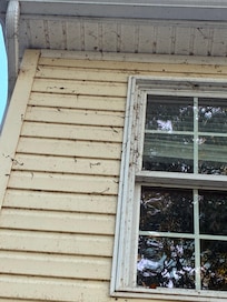 More dirty wall of house.