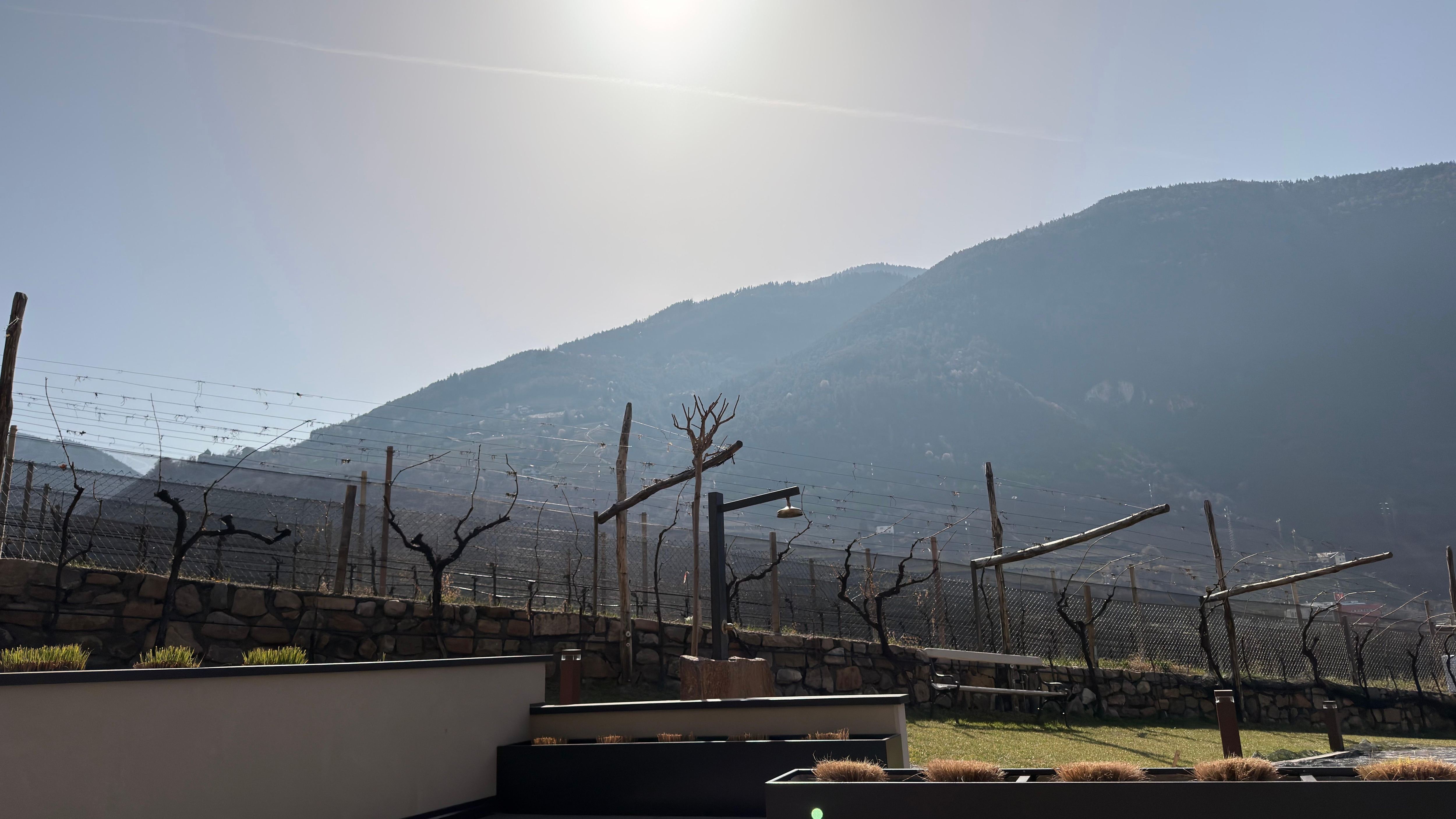 Morning view from the terrace 