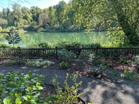 RIver view