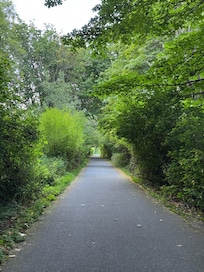Olympic Discovery Trail behind house.
