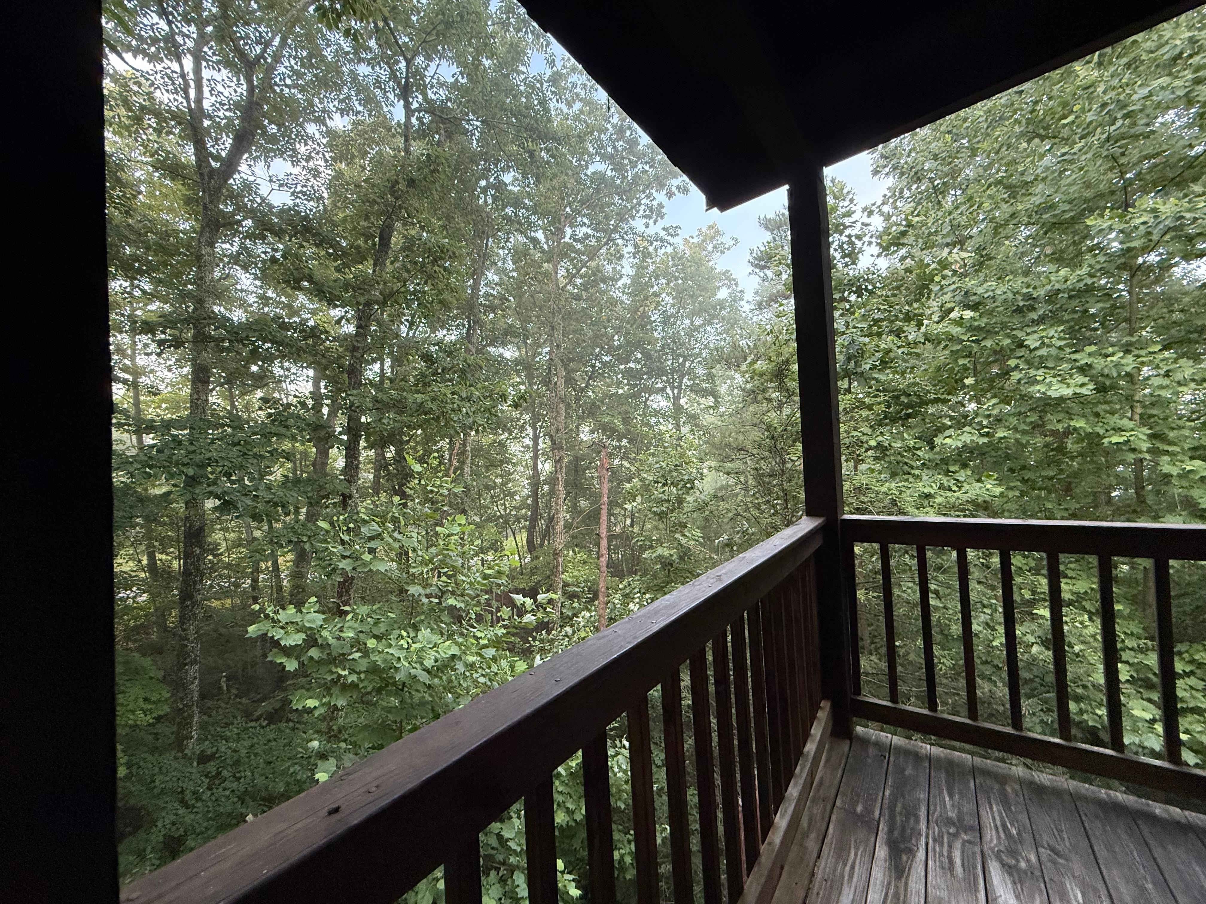 Our morning fog. 