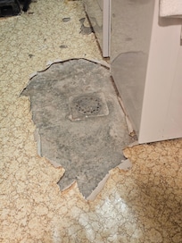 This what she tripped over